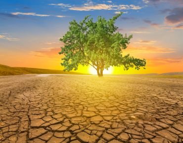 Climate action and sustainability