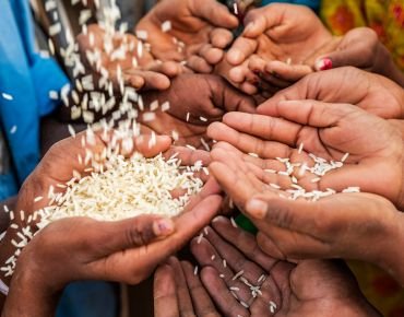 Sustainable agriculture and food systems