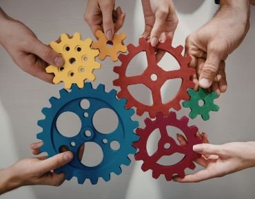 Partnership and Collaboration