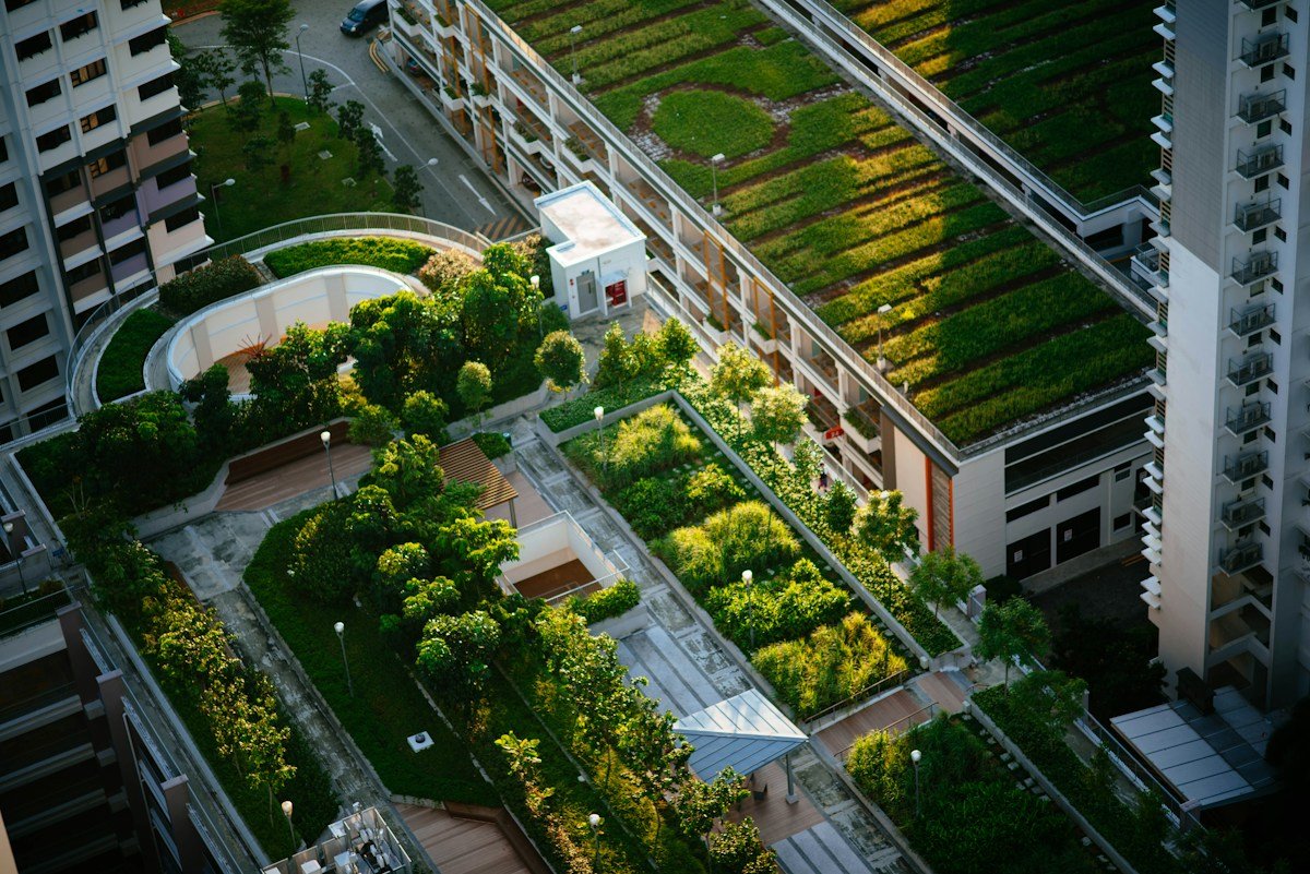 Aerial view of buildings with landscaped green rooftops